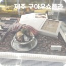 김녕 구아우쇼콜라
