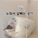 온하다 다이어트 지제점 평택 다이어트 추천 후기