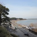 바우길 11구간 이미지