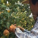 지금 장수농장 이미지