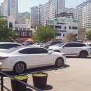 꼬지 정관점 이미지