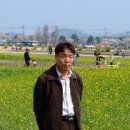 석*규 이미지
