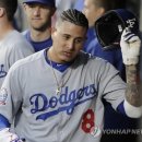 FA스포츠 이미지