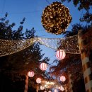 브라운도트 동촌유원지점 이미지