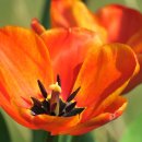 소설로 배우는 영어 이미지