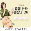 광명 한라비발디 큐브 이미지