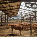 지유테크 이미지