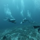 하늘크리닝샾 | 말라파스쿠아 다이빙투어 후기