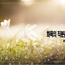 [새벽설교 2023.5.3] 레위기 3:1~17 화목의 직분을 감당하려면 예산수정교회 이몽용목사 이미지