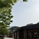 월드파크장 이미지