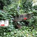 새소리물소리 이미지