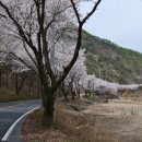 산안2리마을 이미지