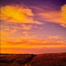 봉천 한의원 이미지