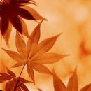 동아고속관광(주) 이미지