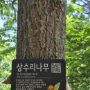 곤충채집 이미지