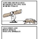 아낌없이주는나무