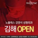 노블레스강영석성형외과의원 네이버블로그