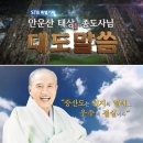 대도교육