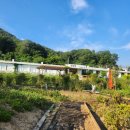 보은어린이공원 | [보은 가족여행 후기] 아이와 함께한 일상화 글램핑장·속리산 서원계곡·뱃들공원 물놀이 2박 3일 코스...