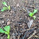 부농농약사 이미지