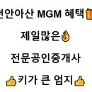 엄지공인중개사사무소 이미지