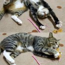 동명여자고등학교 이미지