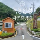 독용산성자연휴양림 2박3일 숙박후기 : 조용하고 분위기 있는 깊은 숲속