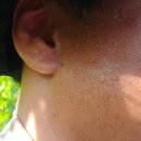 황진농장 이미지