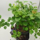 청미래 농장 이미지