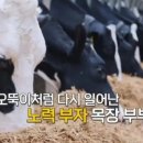 요거트가족 이미지