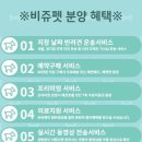 비쥬펫