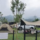 가평 애견캠핑장 | 아워포레스트 Our forest | 수영장이 멋진 리조트같은 신생캠핑장 자세한 후기!