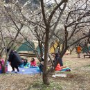 매화 어린이집 이미지