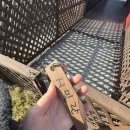 블루베이 펜션 | 영덕 일출 오션뷰 펜션추천 블루베이펜션 애견동반가능