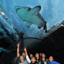 씨~월드 이미지