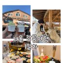 대관령마켓 | [강릉 2박 3일] 눈은 없었지만 해피 크리스마스🎄대관령 양떼목장 먹이체험부터 경포대 밤바다 모둠회까지