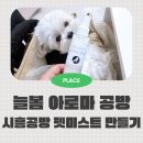 해든메디컬센터 | 늘봄 펫아로마 시흥공방 강아지 미스트 만들기