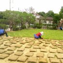 잔디 농장 이미지