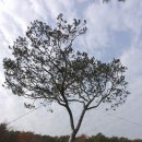 (주)한동 | (캠핑) 예당관광지 국민여가캠핑장.(2015년11월21일 ~ 22일)