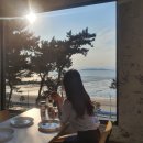 밀크플리즈 | 안산 대부도 오션뷰 피자 맛집 '피자플리즈' l 주차 메뉴 애견동반 아기의자