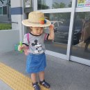 영채농장 Daum카페