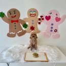 댕구르르 이미지