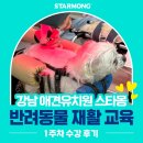 한국임상수의학회 | 한국수의재활학회와 함께하는 반려동물 재활 교육 1주차 수강 후기