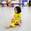 새하늘용인대태권도 이미지