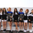엘레쎄 스포츠경향