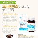 모닉 이미지