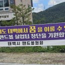 태백시 4개 실업팀 추진 논란…핸드볼·축구·레슬링·태권도 이미지