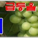 와이에이치에스 이미지