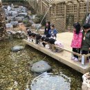 아리수가든 이미지