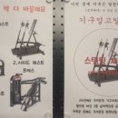 크라운짐 이미지